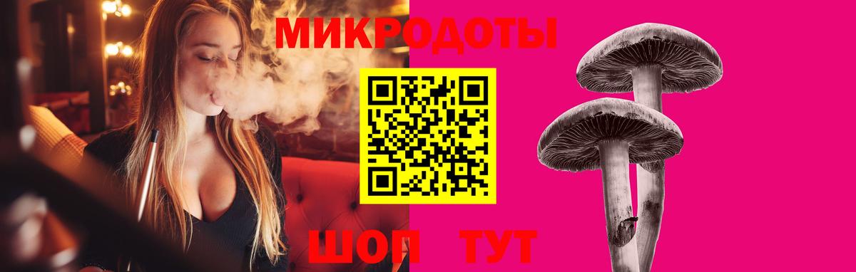 Псилоцибиновые грибы прущие грибы Асино
