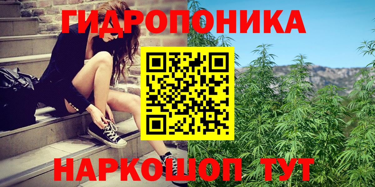 Каннабис OG Kush Асино